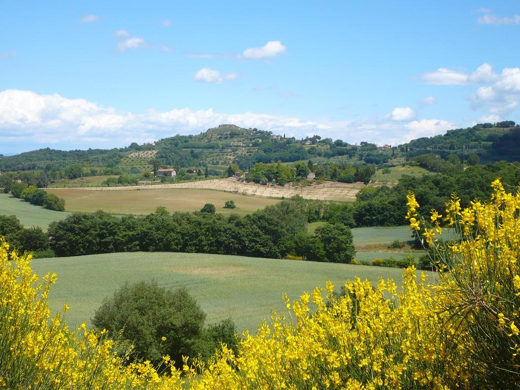 Podere Sionne Chiusi Quarto foto