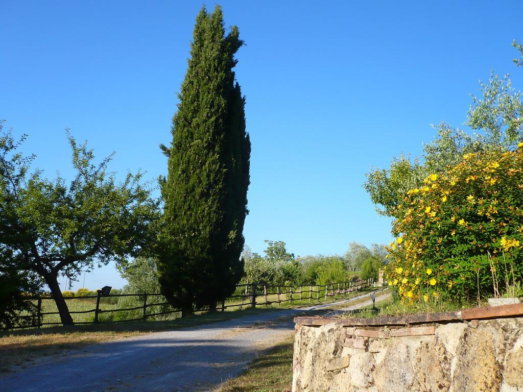Podere Sionne Chiusi Exterior foto