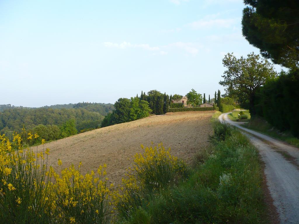 Podere Sionne Chiusi Exterior foto